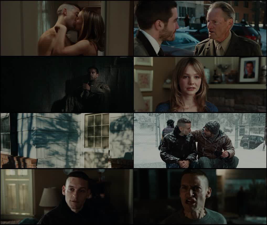 Brothers (2009) screenshot