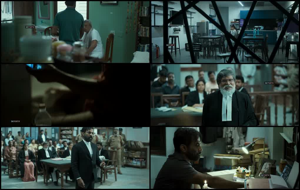 Legally Veer (2024) screenshot