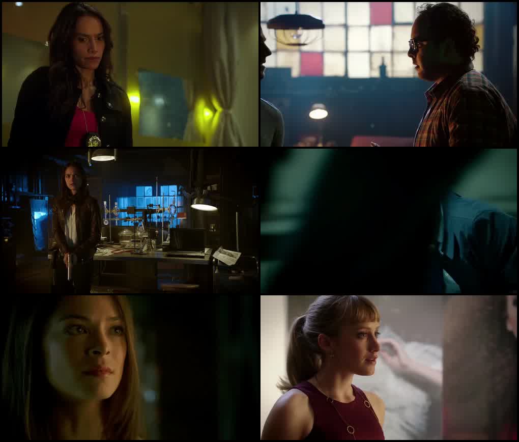 Beauty and the Beast (Season 1) Hindi ORG. Dubbed WEB Series 480p - 720p &amp; 1080p WEB-DL screenshot