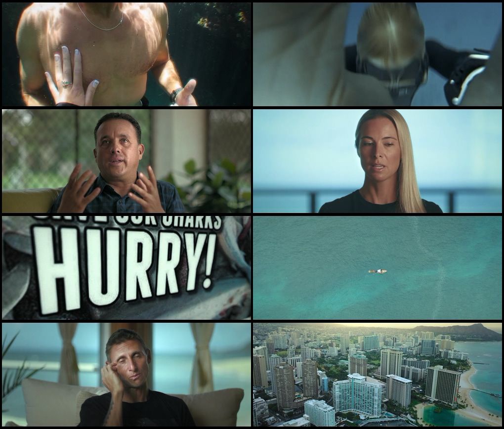Shark Whisperer (2025) screenshot