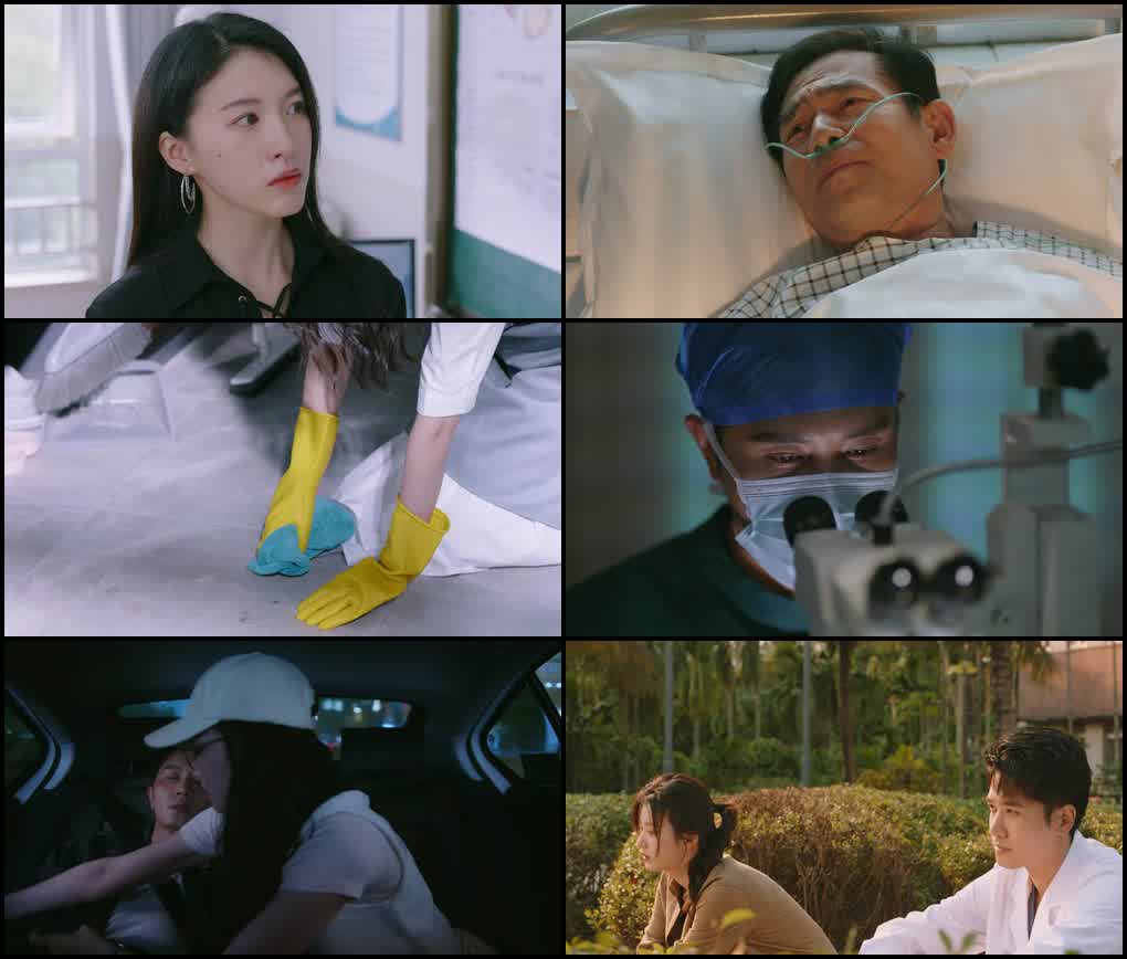 Have a Crush on You (Season 1) Dual Audio {Hindi-Chinese} Series 480p - 720p - 1080p WEB-DL screenshot
