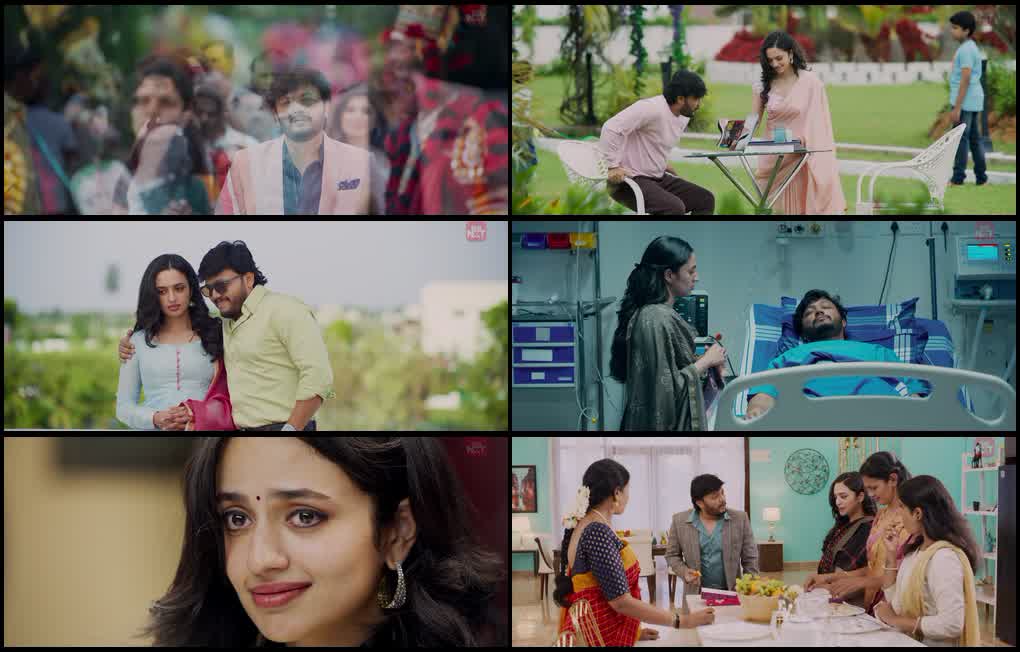 Krishnam Pranaya Sakhi (2024) screenshot