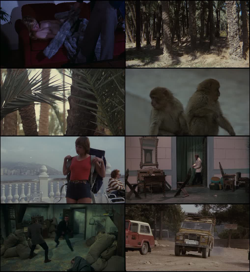 [18+] Police Destination Oasis (1982) screenshot