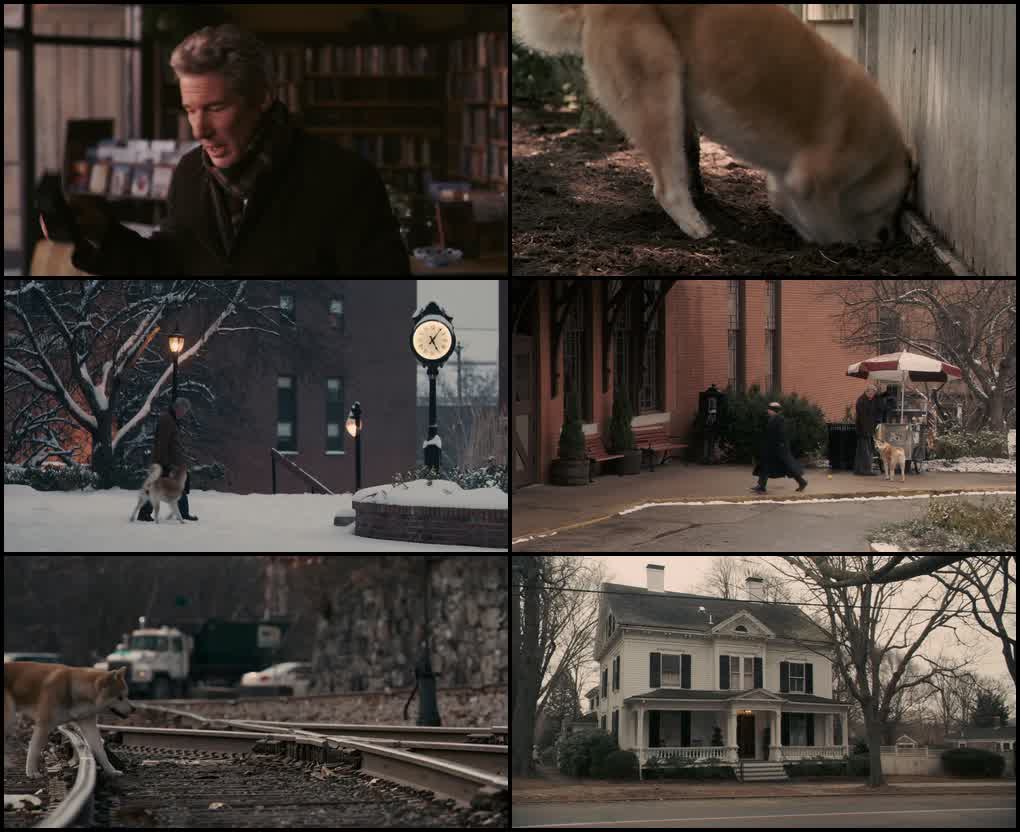 Hachi: A Dog’s Tale (2009) screenshot