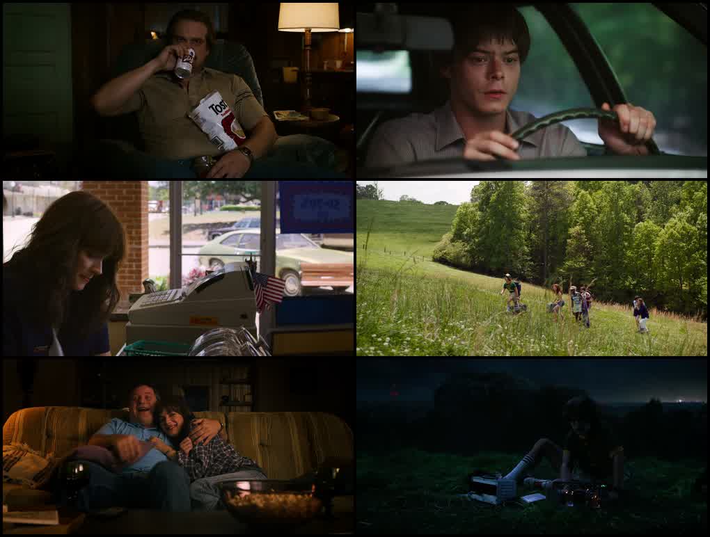 Stranger Things (Season 1 – 3) Dual Audio [Hindi + English] Netflix Series 480p - 720p - 1080p screenshot