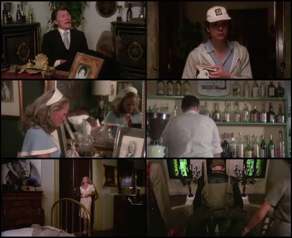 [18+] The Sensuous Nurse (1975) screenshot