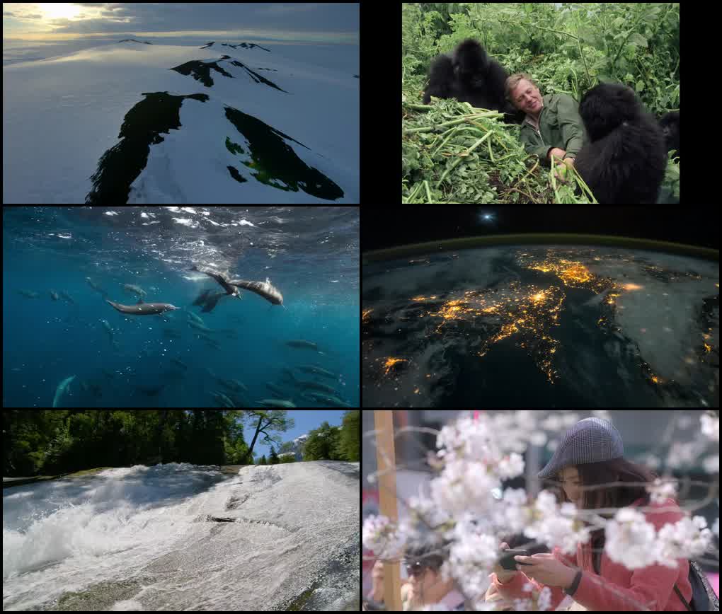 David Attenborough: A Life on Our Planet (2020) screenshot