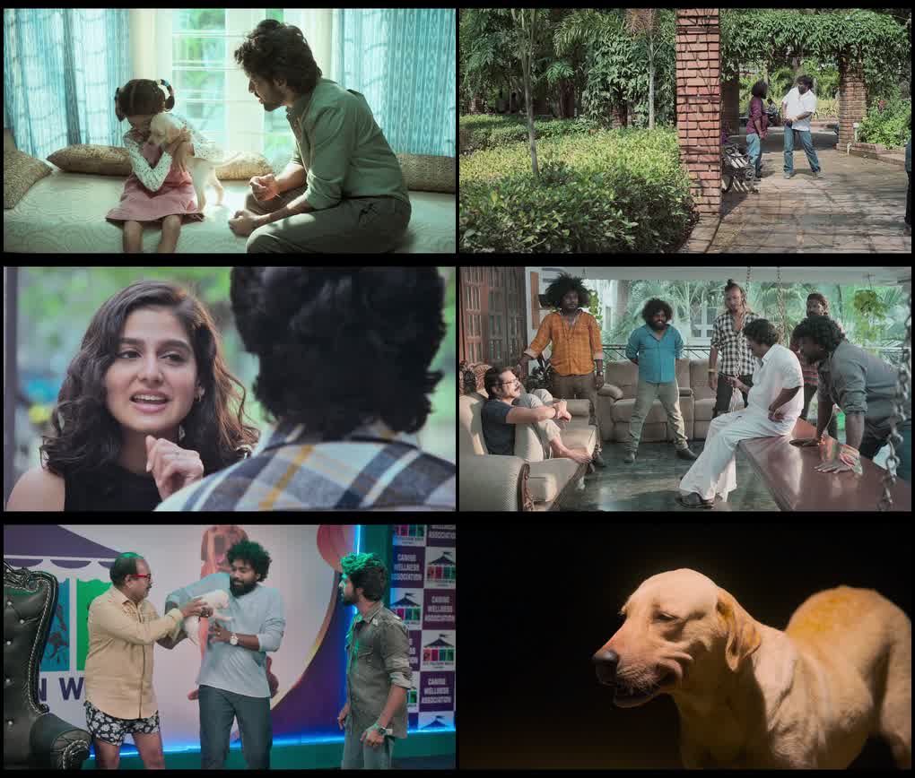 Lucky the Superstar (2026) screenshot