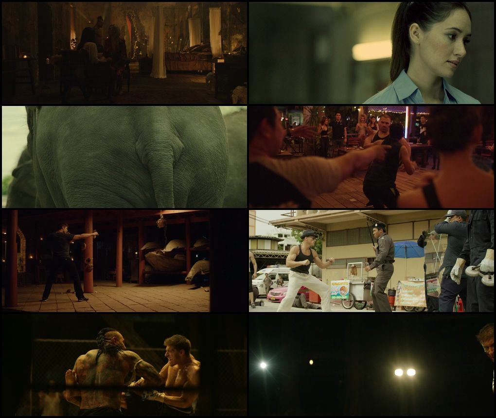 Kickboxer: Vengeance (2016) screenshot