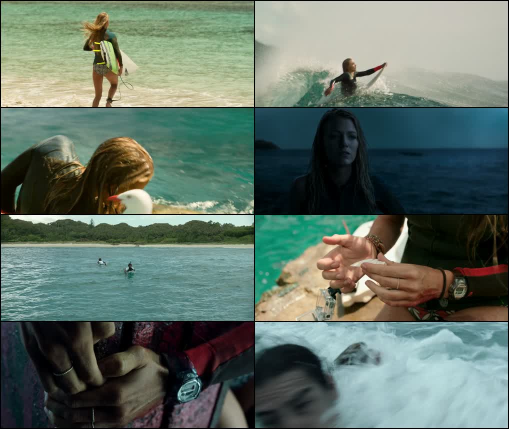 The Shallows (2016) screenshot