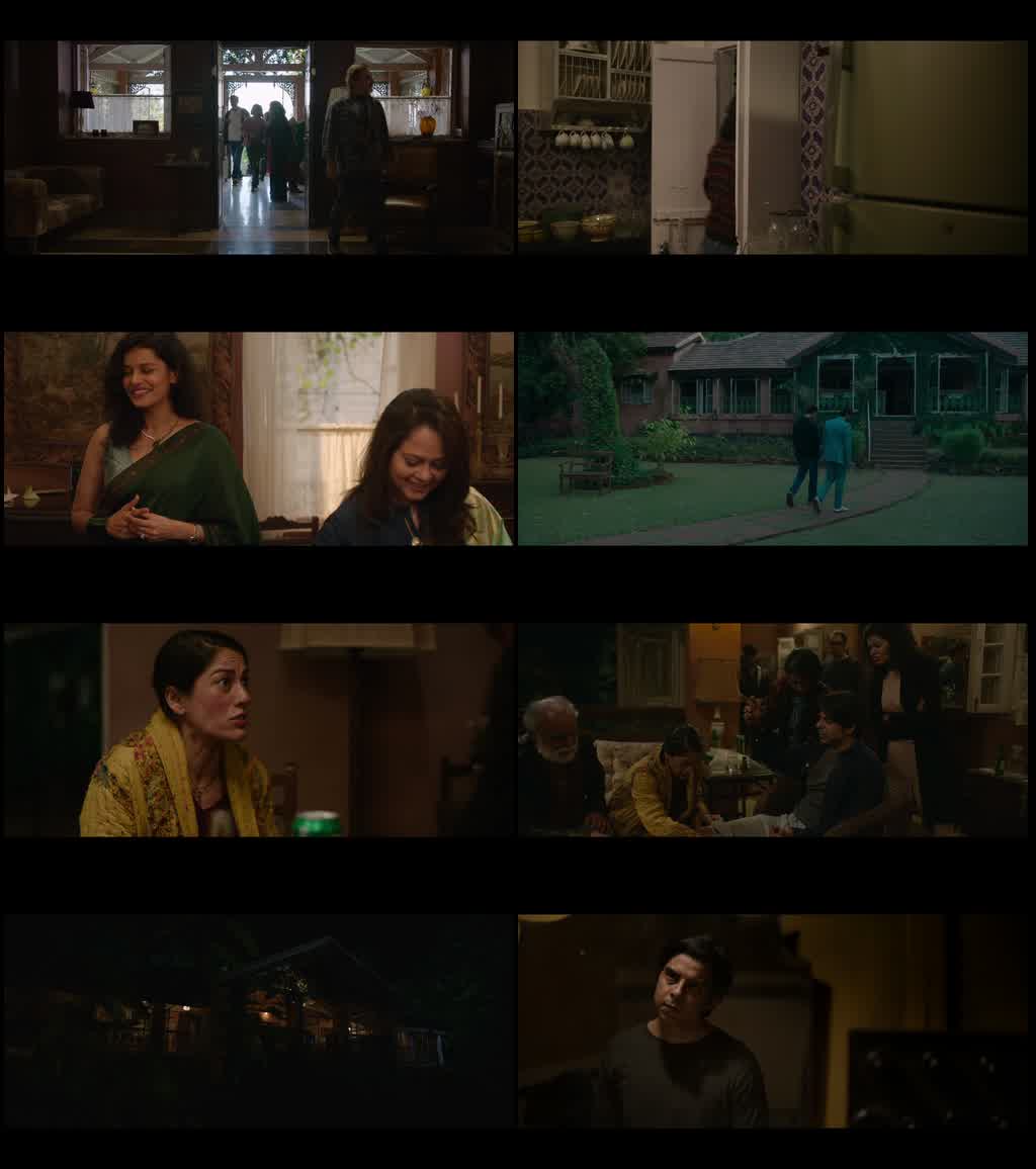 Everybody Loves Sohrab Handa (2026) screenshot