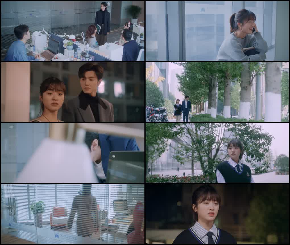 Mr. Bad (Season 1) Hindi ORG Dubbed C-Drama Series 480p 720p & 1080p WEB-DL screenshot