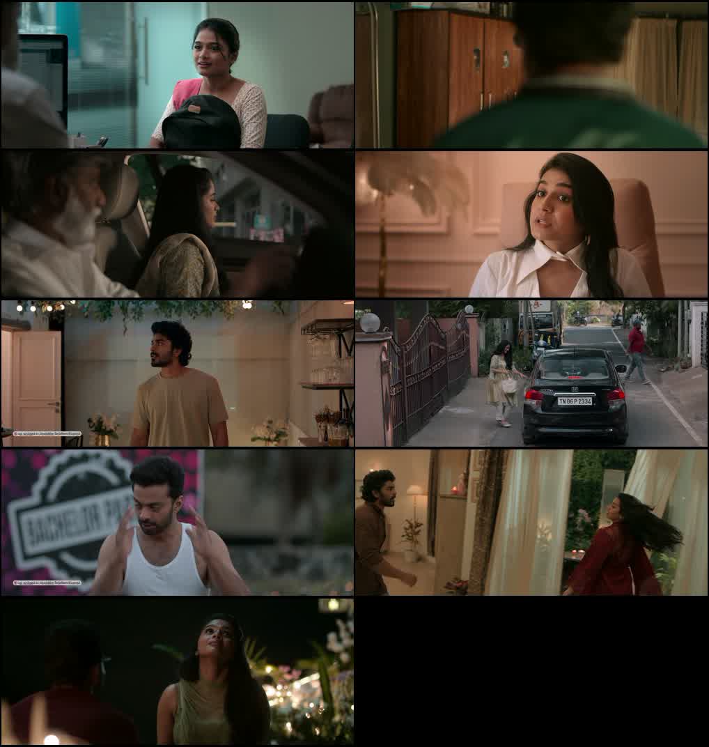 Double Occupancy (2026) screenshot