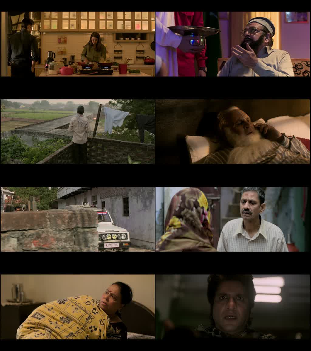Udaipur Files: Kanhaiya Lal Tailor Murder (2025) screenshot
