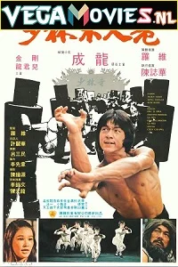 Shaolin Wooden Men (1976) Dual Audio [Hindi-English] 480p - 720p poster