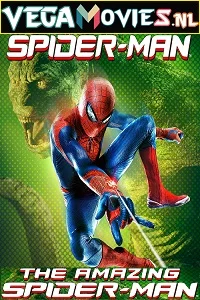 The Amazing Spider-Man (2012) Dual Audio {Hindi-English} 480p - 720p - 1080p poster