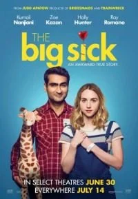 The Big Sick (2017) poster