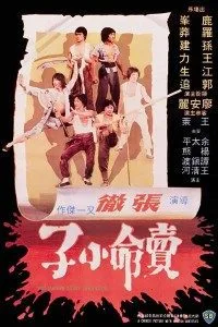 The Magnificent Ruffians (1979) poster