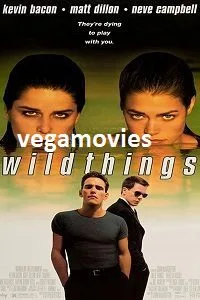 [18+] Wild Things (1998) poster